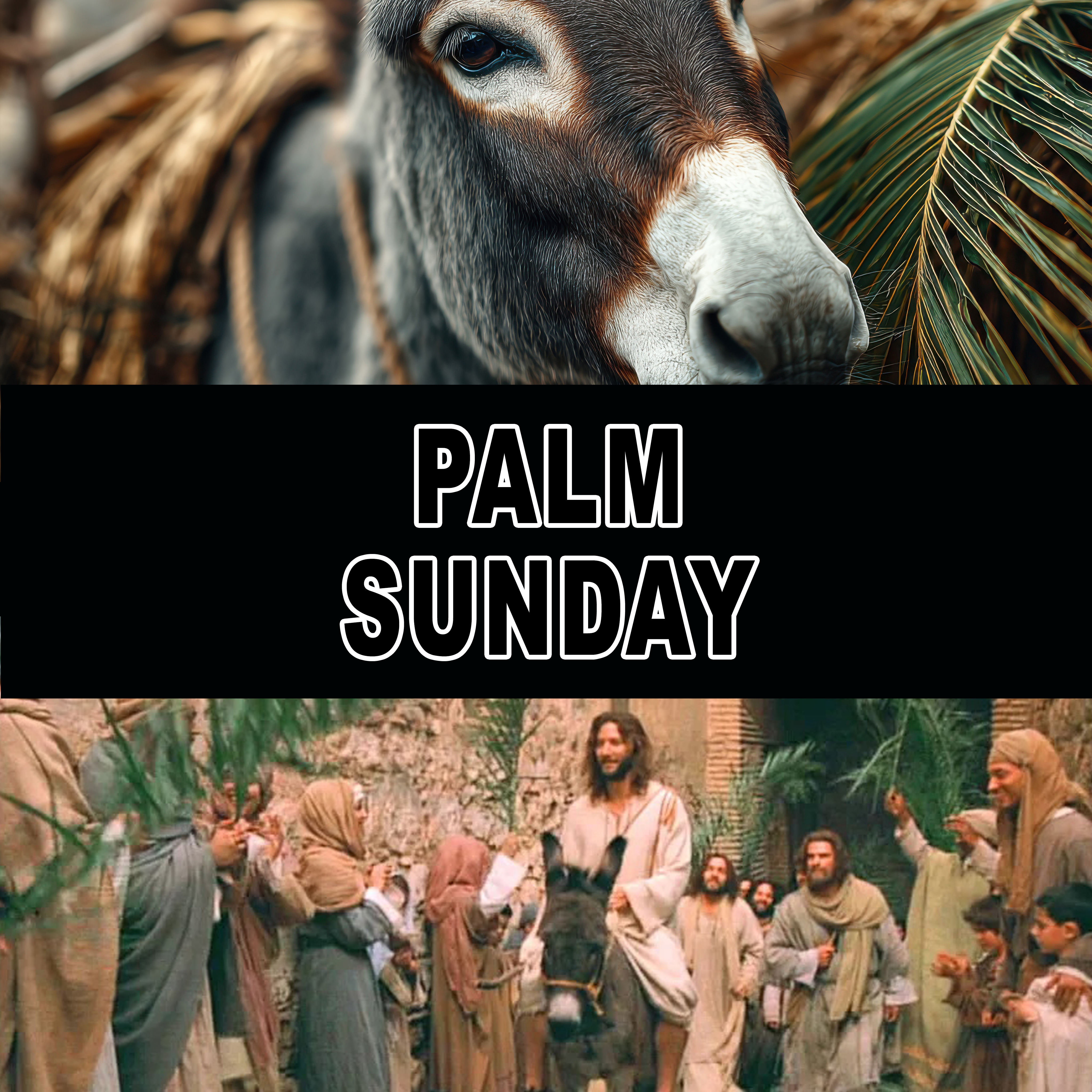 Palm sunday phone